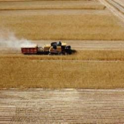 &Ccedil;ift&ccedil;ilere 149,6 milyon liralık tarımsal destekleme &ouml;demesi bug&uuml;n yapılıyor