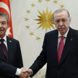 Cumhurbaşkanı Erdoğan, KKTC Başbakanı &Uuml;stel'i kabul etti