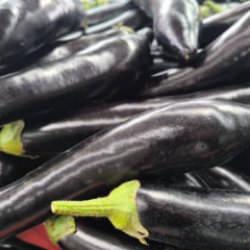 Havalar soğudu, patlıcan fırladı! Kilosu 150 TL