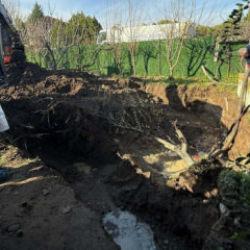 Kayıp olarak aranıyordu! 17 yıl sonra korkun&ccedil; itiraf