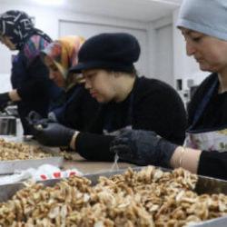 KOSGEB, 53 bin KOBİ'ye destek verecek