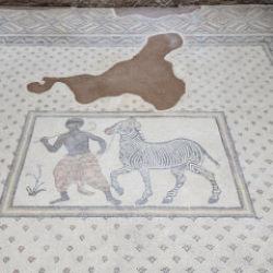 Şanlıurfa'nın arkeolojik hazinesi: Haleplibah&ccedil;e Mozaik M&uuml;zesi