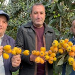 Sarı altın erken geldi! Yılın ilk yenid&uuml;nya hasadı yapıldı: Fiyatı dudak u&ccedil;uklattı