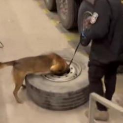 TIR'ın stepnesinde ele ge&ccedil;irildi: Tam 22,5 kilo!