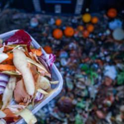 &Uuml;lkemizde yılda 23 milyon ton gıda israf ediliyor! Acı rapor ortaya &ccedil;ıktı