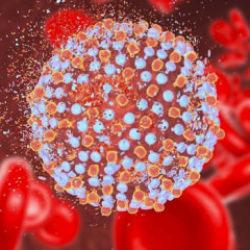 Uzman isim uyardı: Kapı kapı dolaşıp Hepatit C vir&uuml;s&uuml; bulaştırıyorlar