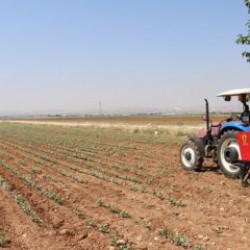 Tarımda maliyetleri d&uuml;ş&uuml;recek karar: G&uuml;bre ithalatında vergi sıfırlandı