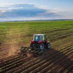 Bakanlıktan "akıllı tarım" odaklı projelere hibe desteği