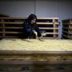  Bir &ccedil;uval unla başlayan ihracat ser&uuml;veni: Kınalı eller sınırları aştı