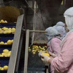 Gıda sekt&ouml;r&uuml;ne ceza yağdı! Piyasayı bozanlara ge&ccedil;it yok