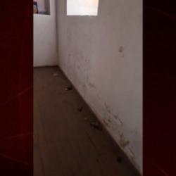 İznik'te Candarlı İbrahim Paşa T&uuml;rbesisinin i&ccedil;ler acısı hali tepki &ccedil;ekti