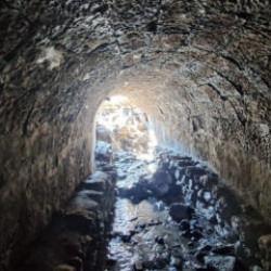 Trabzon'da heyecanlandıran keşif! T&uuml;rkiye'de bir &ouml;rneği daha yok