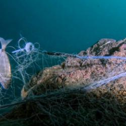 Mavi İz projesiyle deniz kirliliğine sanat dokunuşu