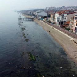Tekirdağ'da deniz 7 metre &ccedil;ekildi, 'Kral Yolu' ortaya &ccedil;ıktı