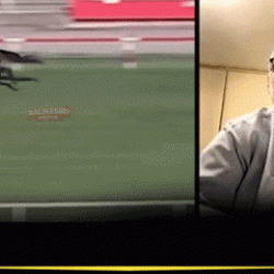 T&uuml;rkiye bu skandalı konuşuyor! Şampiyon at aş evindeki yemekten &ccedil;ıktı