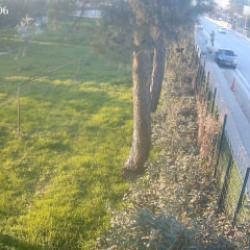 Bisikletli adama arabanın &ccedil;arptığı cinayet gibi kaza anının g&ouml;r&uuml;nt&uuml;leri