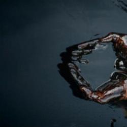 Dev bankadan akılalmaz petrol tahmini: 2008'deki rekoru ge&ccedil;ebilir