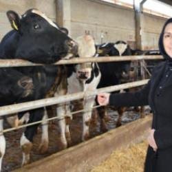 Ev hanımıyken devlet desteğiyle 900 hayvanın bulunduğu &ccedil;iftliğin sahibi oldu