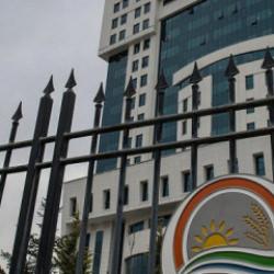 Hayvanları kilo alsınlar diye &ccedil;amura g&ouml;mm&uuml;şler! Bakanlık devreye girdi