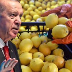 Limon fiyatları 100 lirayı aşmıştı! Cumhurbaşkanı Erdoğan devreye girdi