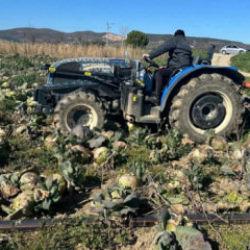 Pazarda 70 lira ama y&uuml;zbinlercesi tarlada &ccedil;&uuml;r&uuml;d&uuml;!