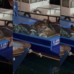 Bursa'da teknesinde buldu: Kendisi bile inanamadı! &Ouml;ld&uuml;rmenin cezası 100 bin TL 