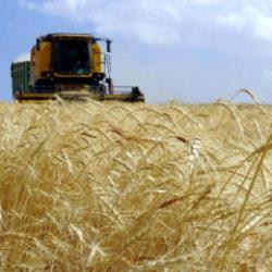 Tarımda dijital d&ouml;n&uuml;ş&uuml;m merkeze alınacak