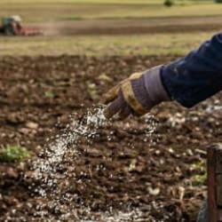 T&uuml;rkiye'de 10 yıldır yasaktı! İran savaşı sonrası serbest oldu! 81 ile genelge g&ouml;nderildi
