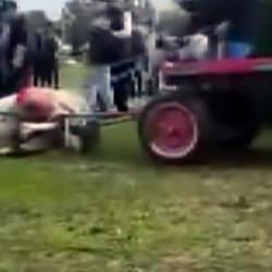 Adana'da insanlığı sorgulatan g&ouml;r&uuml;nt&uuml;: Koşmadığı gerek&ccedil;esiyle ata eziyet ettiler 