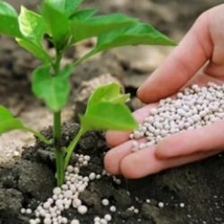 Tahıl Koridoru Modeli H&uuml;rm&uuml;z&rsquo;e taşınabilir mi? "İstanbul form&uuml;l&uuml;" masada