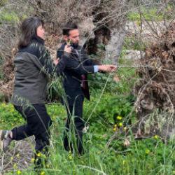 Doğa y&uuml;r&uuml;y&uuml;ş&uuml;nde şaşırtan keşif! Yaşı 2 bin yılı, g&ouml;vdesi 19 metreyi aşıyor