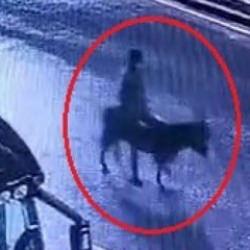 Forkliftle kuyumcuyu soyup eşekle ka&ccedil;an sanığa 16 yıl hapis istemi