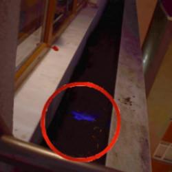 Luminol y&ouml;ntemi 7 yıllık sırrı &ccedil;&ouml;zd&uuml;: Eşini &ouml;ld&uuml;r&uuml;p par&ccedil;alara ayırarak &ccedil;&ouml;pe atmış