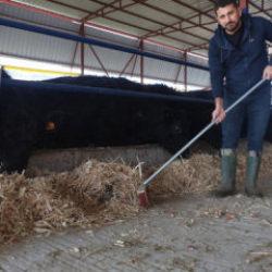 M&uuml;hendisliği bırakıp hayvancılığa başladı! Pişmanlık s&ouml;zleri dikkat &ccedil;ekti