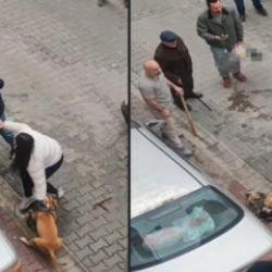 Pitbull saldırısında yeni g&ouml;r&uuml;nt&uuml;ler: Sahibinin yaptığı vahşeti getirdi