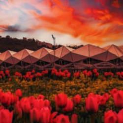 S&uuml;per Lig kul&uuml;pleri bayramın coşkusunu yaşıyor! Peş peşe mesajlar