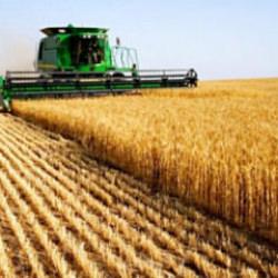 Tarım &Uuml;FE şubatta aylık bazda y&uuml;zde 0,21 arttı