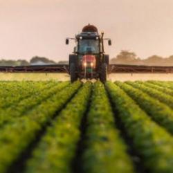 42 ilde a&ccedil;ık artırma ile arsa satılacak...