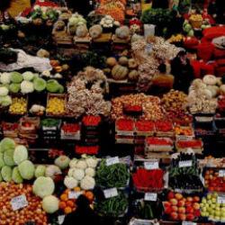 T&Uuml;İK 2025 bitkisel &uuml;r&uuml;n denge tablolarını a&ccedil;ıkladı: Bu meyvede bolluk hat safhada