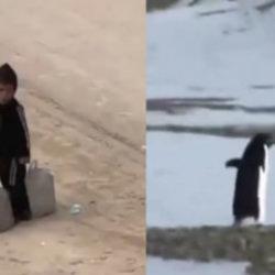 Gazze'de &ccedil;ocuk olmak... Bir penguen kadar konuşulmayacak