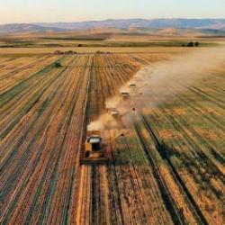 ABD-İran gerilimi fiyatları u&ccedil;urmuştu: Bakanlık d&uuml;ğmeye bastı: Tamamını devlet &ouml;deyecek...