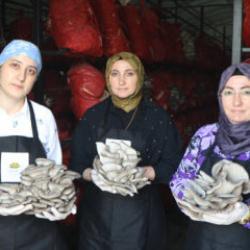 Aldıkları destekle hayatları değişti: 5 &ccedil;adırda yılda 60 ton mantar &uuml;retiyorlar 