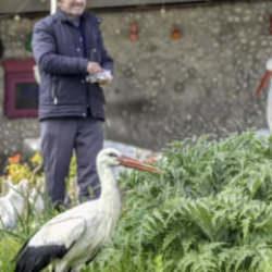 Bir kuş, bir insan ve 15 yıllık sadakat: Adem Amca ile Yaren'in b&uuml;y&uuml;k dostluğu