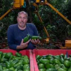 Gasp edilen topraklarda &ccedil;ift&ccedil;ilik yapıyordu: Yanarak &ouml;ld&uuml;