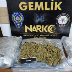 Gemlik&rsquo;te narkotik pen&ccedil;esi: Evde &ouml;zel d&uuml;zenekli uyuşturucu serası &ccedil;&ouml;kertildi!