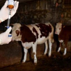 K&uuml;tahya'da alarm: 15 k&ouml;y karantinaya alındı!