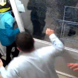 Londra'da evi basılan T&uuml;rk, 4 soyguncuyu b&ouml;yle kovaladı