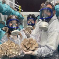 Hobi olarak başladı: G&uuml;nde 1 tona yakın hasat elde ediyor