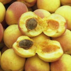 15 senelik &uuml;nl&uuml; gıda markası iflas etti! Kayısılarıyla nam salmıştı