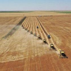 Arazi sahipleri dikkat! Bakanlık duyurdu: T&uuml;m araziler i&ccedil;in yeni kullanım planı geliyor!